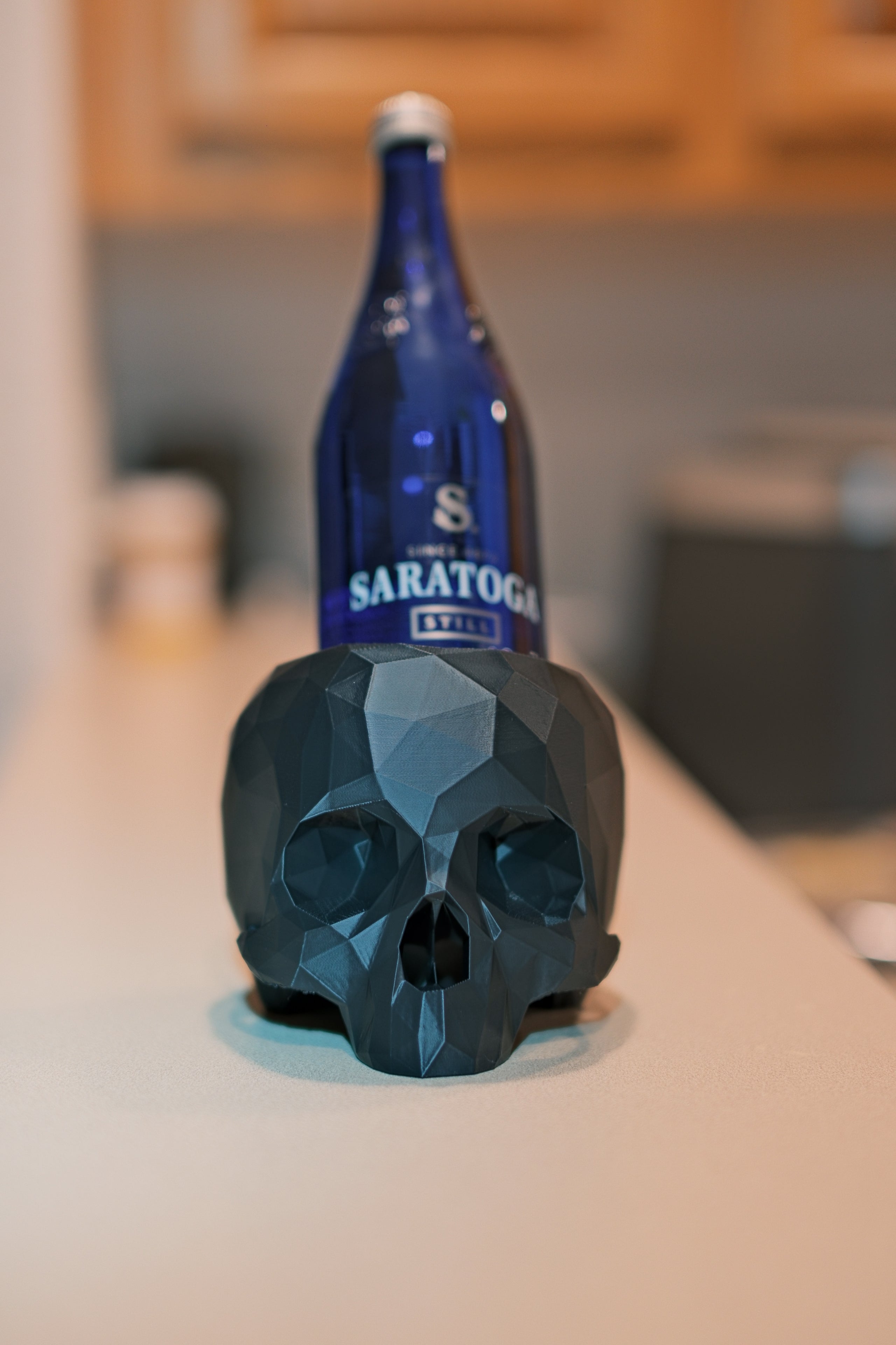 SARATOGA SKULL HOLDER