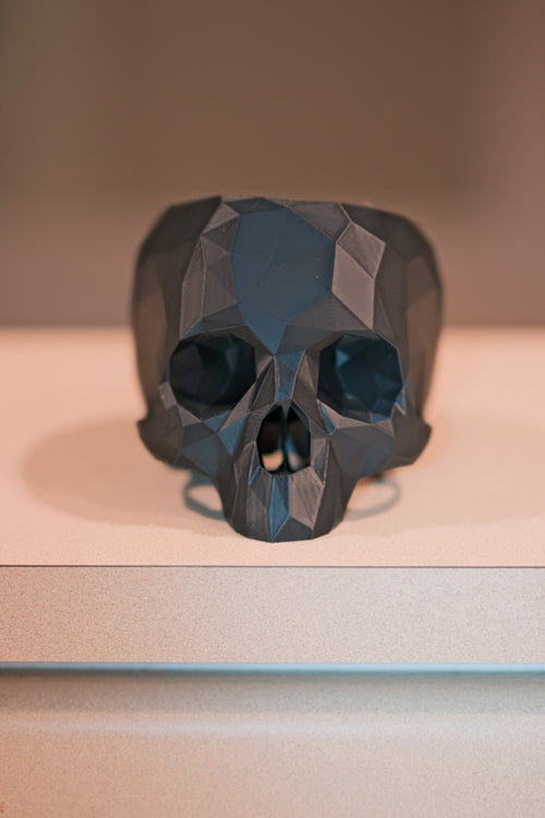 SARATOGA SKULL HOLDER
